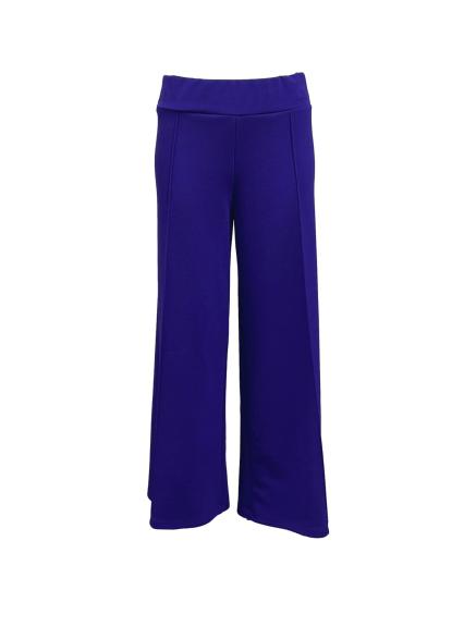 Pantalone palazzo nervina crep
