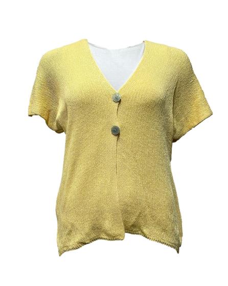 Giacchino 2 bottoni filo